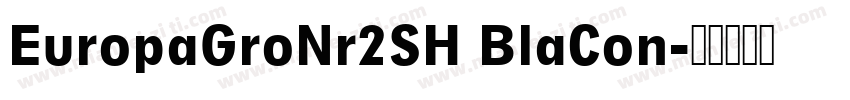 EuropaGroNr2SH BlaCon字体转换